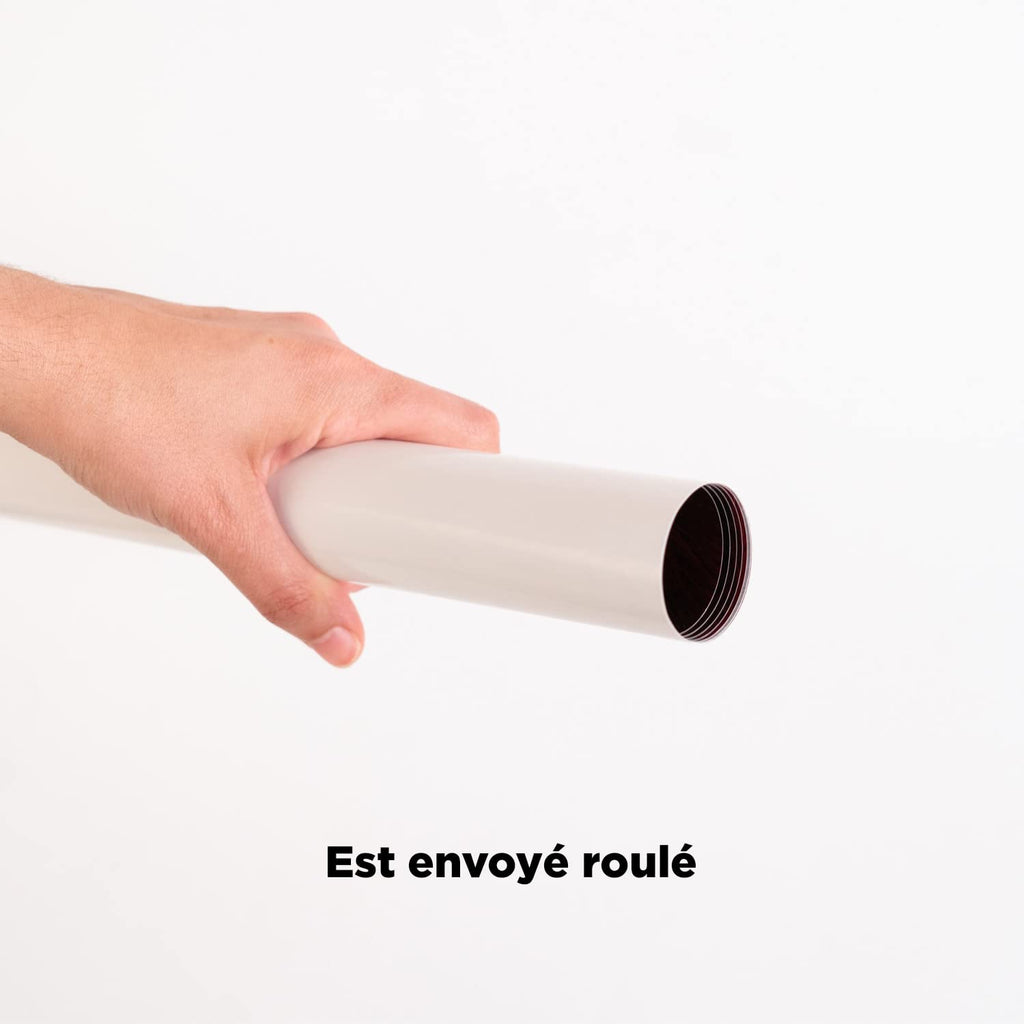 Grupo Erik - Poster Harry Potter A L'Ecole Des Sorciers - 61 x 91.5 cm