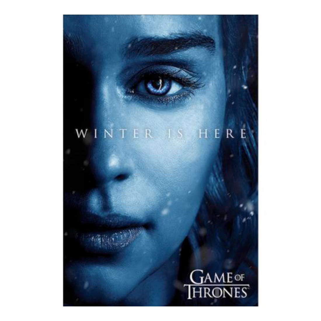 Pyramid International Poster Game of Thones  91x61cm