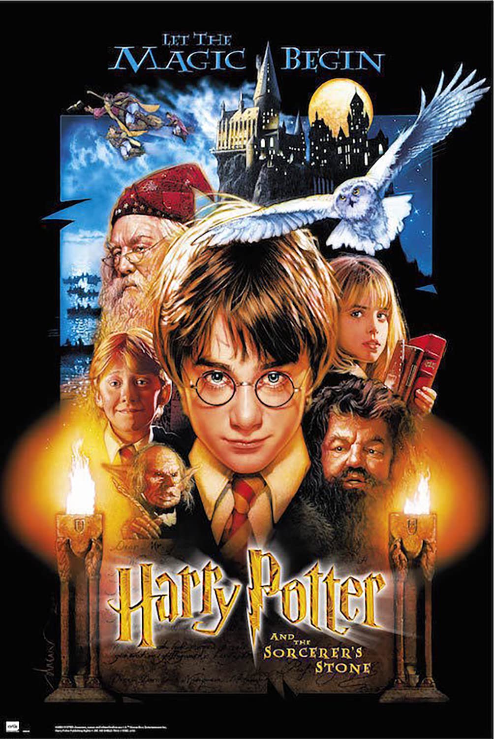 Grupo Erik - Poster Harry Potter A L'Ecole Des Sorciers - 61 x 91.5 cm