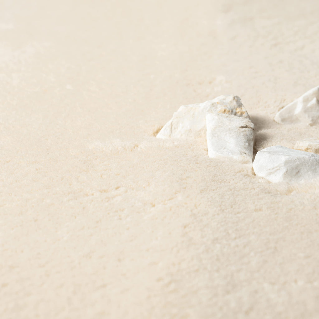 the carpet Relax Tapis Moderne à Poils Courts et Moelleux