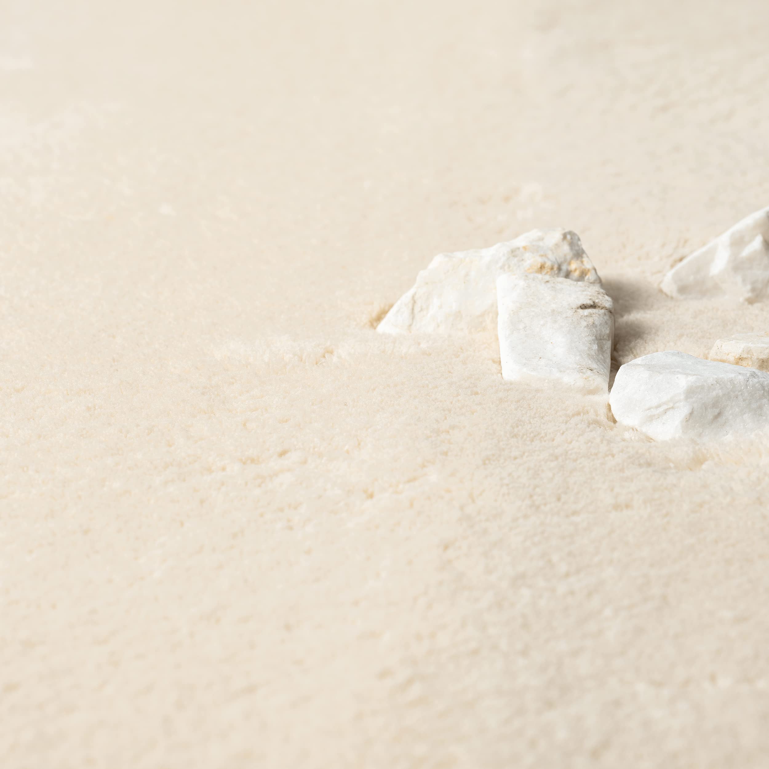 the carpet Relax Tapis Moderne à Poils Courts et Moelleux