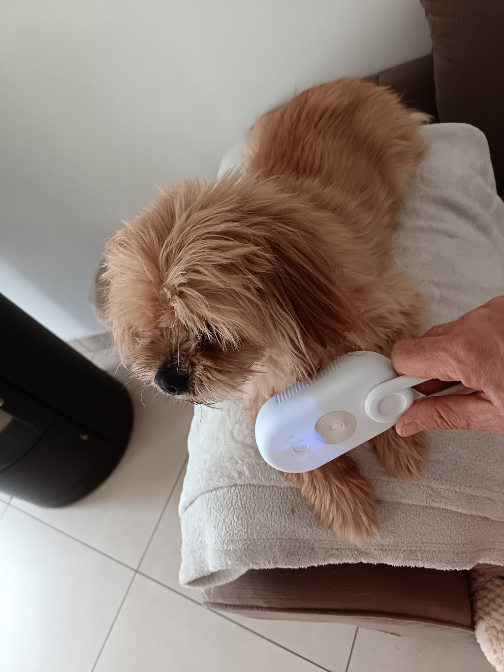 Brosse Électrique 3 en 1 pour Chien et Chat – Peigne Anti-Poils Volants, Vaporisateur & Massage