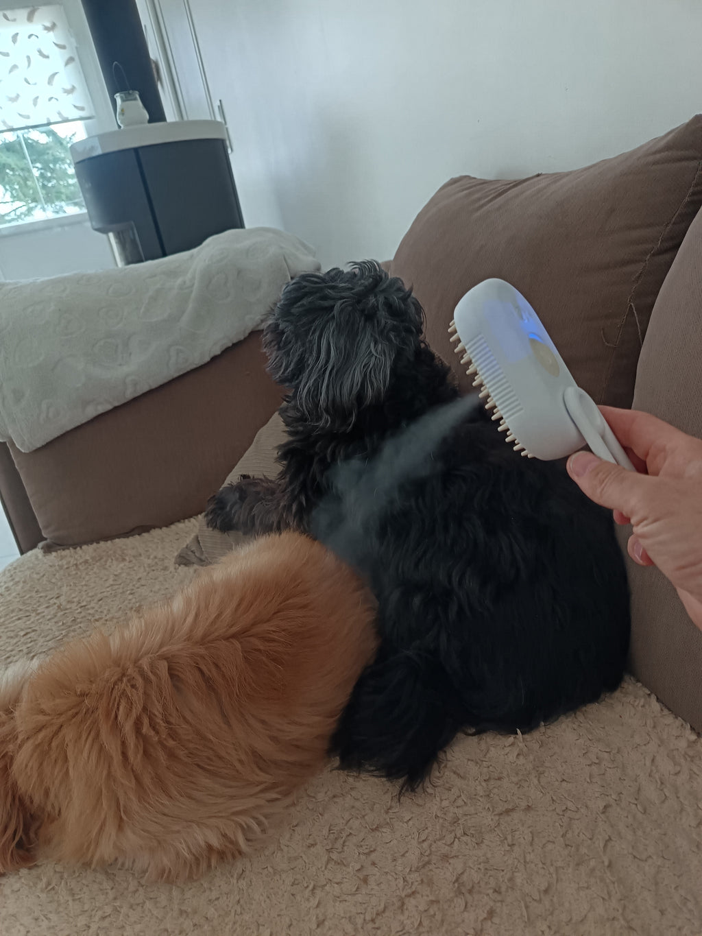 Brosse Électrique 3 en 1 pour Chien et Chat – Peigne Anti-Poils Volants, Vaporisateur & Massage